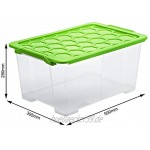Rotho Evo Safe Keeping 3er-Set Aufbewahrungsboxen 44l mit Deckel Kunststoff lebensmittelecht BPA-frei grün transparent 3 x 44l 59,0 x 39,5 x 28,0 cm