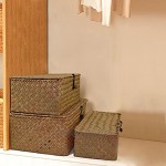IHONYI Aufbewahrungskorb mit Deckel,Aufbewahrungskorb Geflochten Handgewebte Aufbewahrungsbox Natürliche Rattan Mehrzweckkörbe Badezimmer Küche Home Organizer Mittel