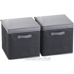 PEARL Faltbox: 2er-Set Aufbewahrungsboxen mit Deckel faltbar 31x31x31 cm schwarz Faltbox mit Deckel