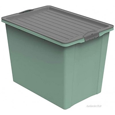 Rotho Compact Aufbewahrungsbox 70l mit Deckel und Rollen Kunststoff PP recycelt BPA-frei grün anthrazit A3 70l 57,0 x 39,5 x 43,5 cm