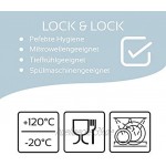 Lock&Lock Frischhaltedose | Vorratsdose | Gefrierdose mit Abtropfgitter | 1,0 Liter | HPL817T 3er Set