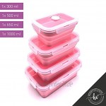4X Faltbare Frischhaltedosen Set Frischhalteboxen Brotdosen aus Silikon Brotbox platzsparend stapelbar pink
