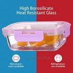 CREST 10-er set Glas Frischhaltedosen Vorratsdosen Glas mit Deckel BPA-frei perfekt für Meal prep lila
