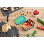 AuruA® Edelstahl Brotdose für Kinder und Erwachsene plastikfreie Lunchbox aus Metall Bento Box Brotbox nachhaltig und auslaufsicher Regenbogen 800ml