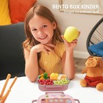 Bento Box für Kinder Brotdose BPA-frei Kinder Brotdose edelstahl mit Fächern，Brotdose Schule mit Fächern Lunchbox Kinder für Kindergarten & Schule-Auslaufsicher rosa