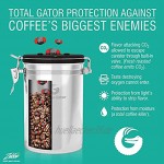Coffee Gator-Edelstahl-Kaffeedose – Hält gemahlener Kaffee und Bohnen länger frisch – Behälter mit Datumsverfolgung CO2-Freigabeventil und Messlöffel Mittel Grau