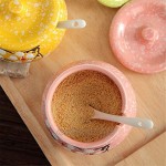 AWQREB Keramische Gewürzglas-Zucker-Schüssel Gewürz-Topf-Speichercreme mit Deckel-Löffel Sätze von 4