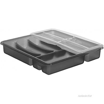 Rotho Basic Besteckkasten mit 6 Fächern Kunststoff PP BPA-frei anthrazit 39,0 x 32,0 x 7,0 cm