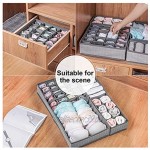 Aufbewahrungsboxen Unterwäsche Ordnungssystem für Kleiderschrank Faltbar Schubladen Organizer für BHS Socken Krawatten Faltbox Stoffbox,Schrank